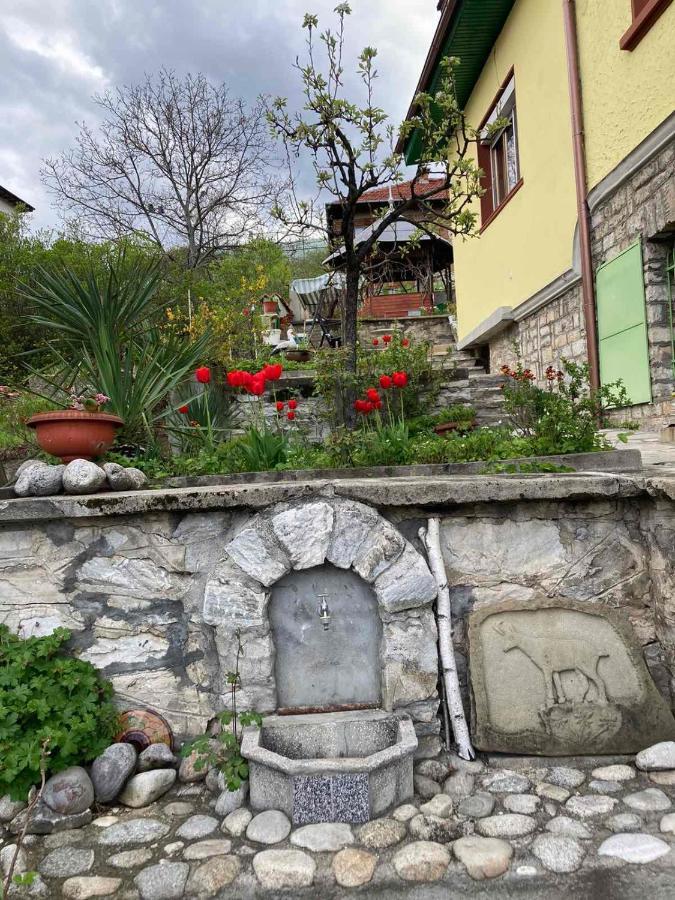 Vila Venera Velingrad Extérieur photo