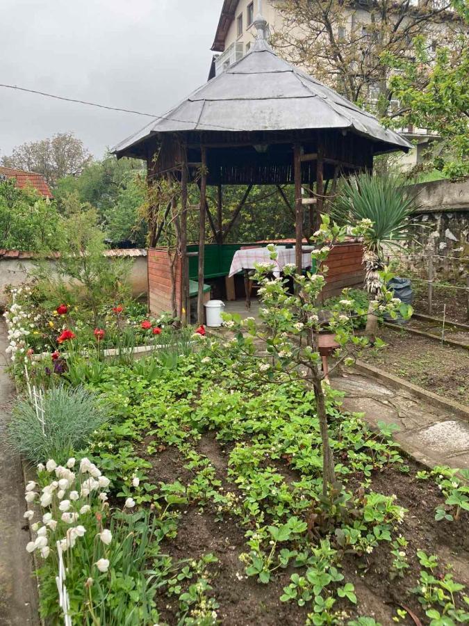 Vila Venera Velingrad Extérieur photo